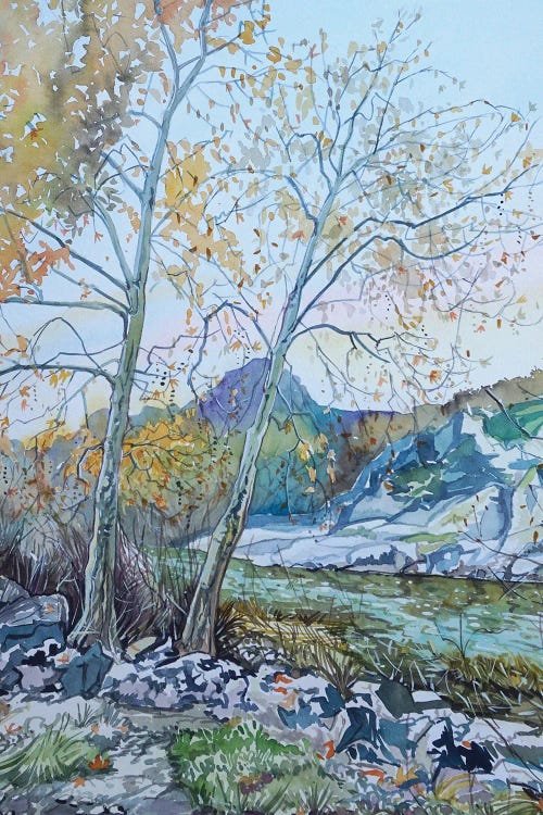 Twin Sycamores By The Dam by Luisa Millicent wall art