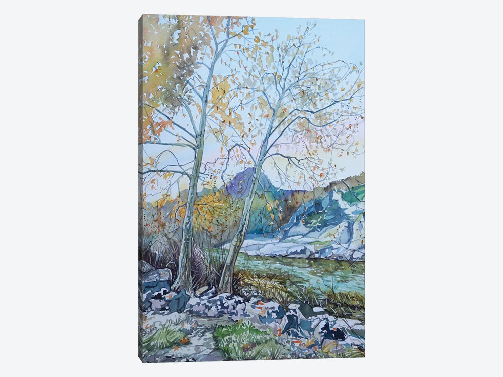 Twin Sycamores By The Dam by Luisa Millicent 1-piece Art Print