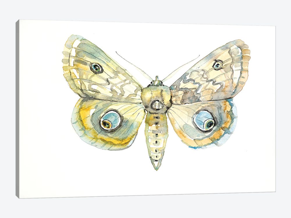 Moth by Luisa Millicent 1-piece Canvas Art Print