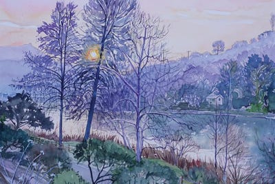 The View Over Lake Vista by Luisa Millicent art print