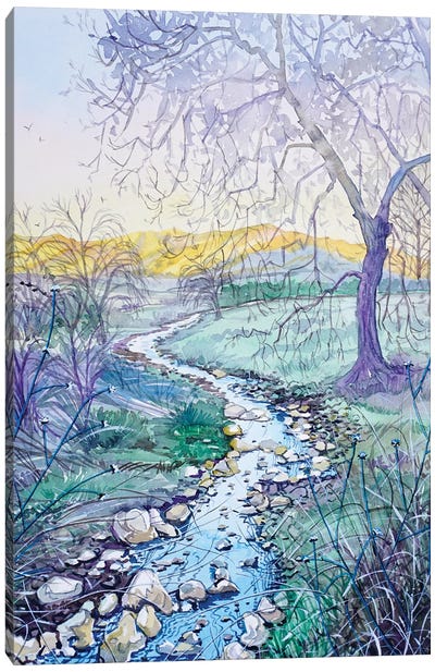 Stillwater Creek Paramount Ranch Canvas Art Print - Luisa Millicent