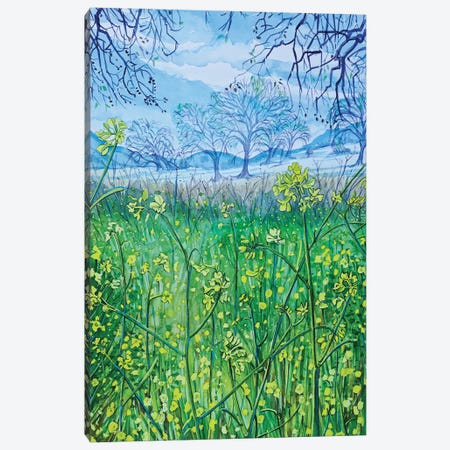 Mountain Springtime Canvas Print #LSM254} by Luisa Millicent Canvas Print