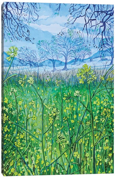 Mountain Springtime Canvas Art Print - Luisa Millicent