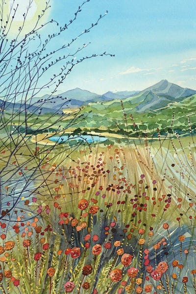 Poppies: Rocky Oaks September Walk by Luisa Millicent