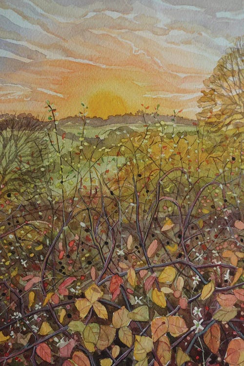 Autumn Hedgerow