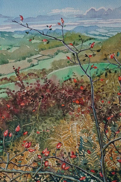 Luisa Millicent: Hill Fort View by Luisa Millicent