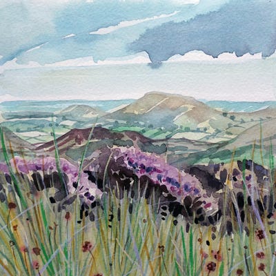 The View by Luisa Millicent art print