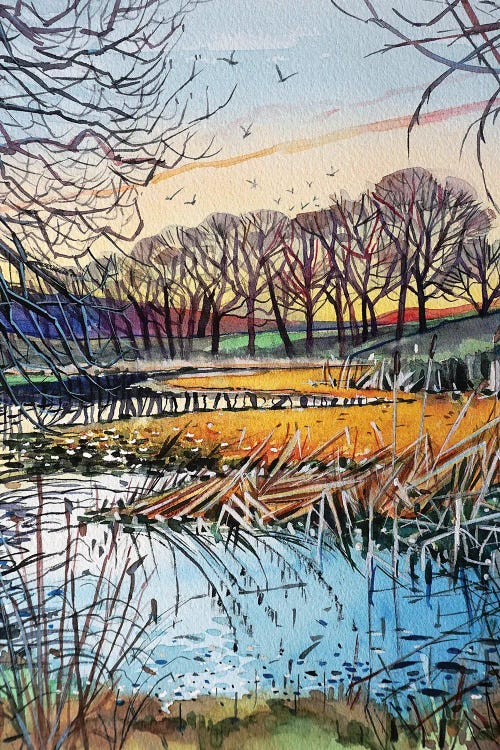 The Ponds Winter Trees by Luisa Millicent wall art