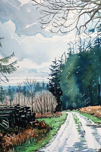 Luisa Millicent: Croft Castle Woods by Luisa Millicent