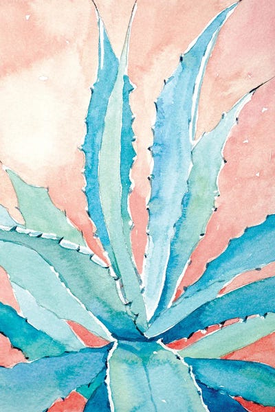 Cacti: Agave by Luisa Millicent