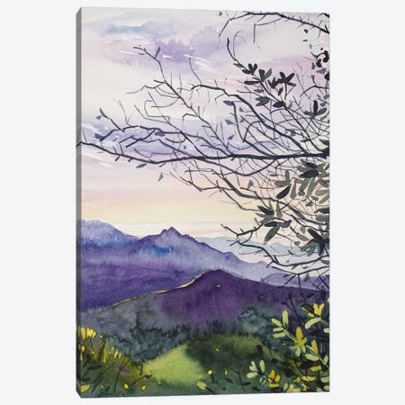 January Sunset - Topanga Canyon Canvas Print #LSM2} by Luisa Millicent Canvas Art Print