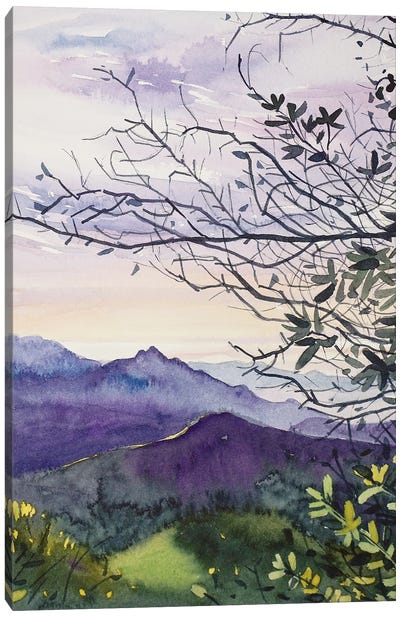 January Sunset - Topanga Canyon Canvas Art Print - Luisa Millicent