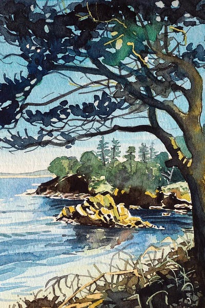 Luisa Millicent: Point Lobos by Luisa Millicent