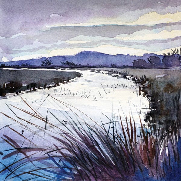 Nature Lover: Dawn River Meadow by Luisa Millicent