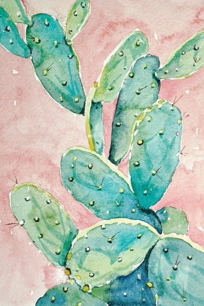 Garden Cactus by Luisa Millicent canvas print