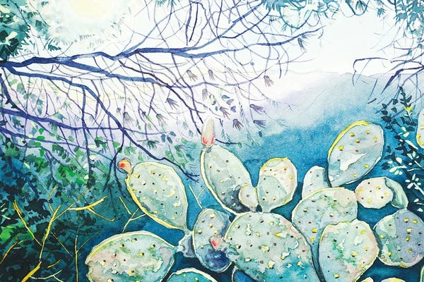 Luisa Millicent: Canyon View - Spring by Luisa Millicent