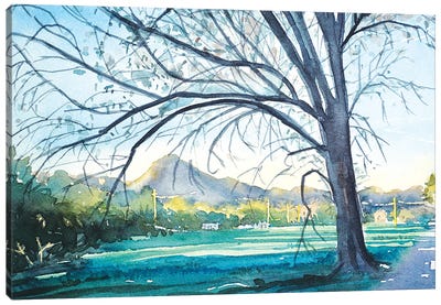 Dappled Afternoon Light - Reagan Ranch Canvas Art Print - Luisa Millicent