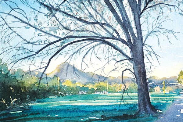 Luisa Millicent: Dappled Afternoon Light - Reagan Ranch by Luisa Millicent