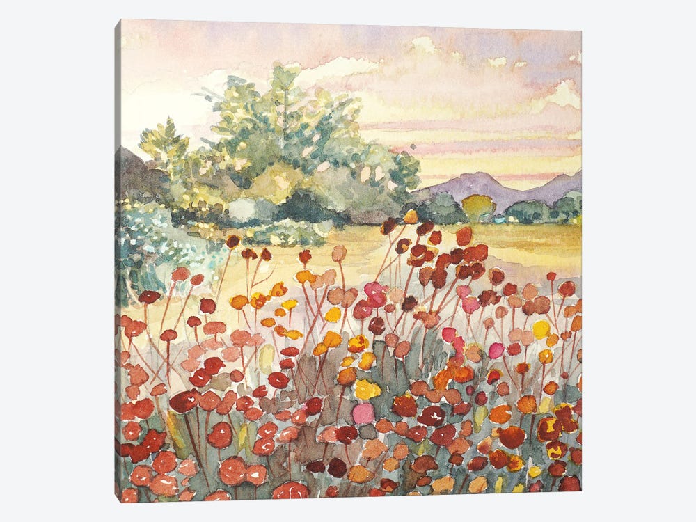 Peter Strauss Ranch Seed Heads by Luisa Millicent 1-piece Canvas Print