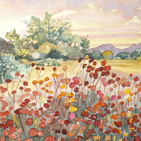 Luisa Millicent: Peter Strauss Ranch Seed Heads by Luisa Millicent