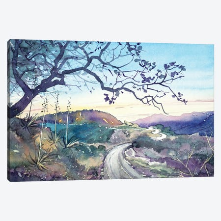 Fading Light On The Trail - Topanga Canvas Print #LSM42} by Luisa Millicent Canvas Wall Art
