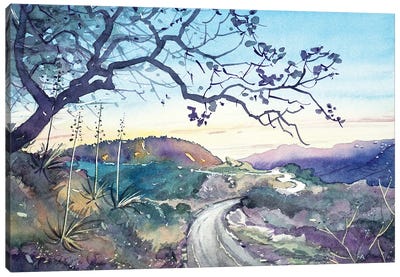 Fading Light On The Trail - Topanga Canvas Art Print - Luisa Millicent