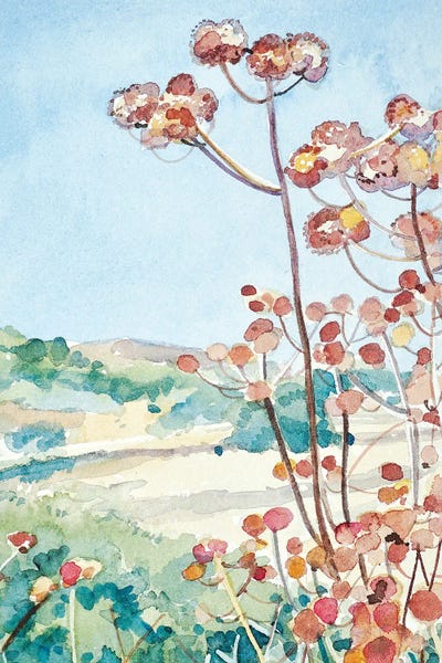 Luisa Millicent: Calabasas Seedheads by Luisa Millicent