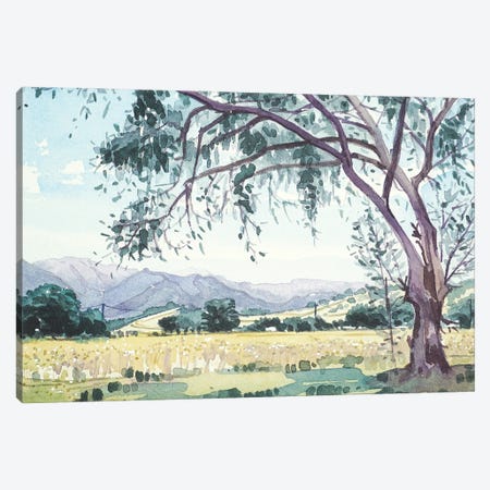 Malibu Creek From King Gillette Ranch Canvas Print #LSM50} by Luisa Millicent Canvas Art Print