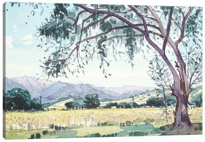 Malibu Creek From King Gillette Ranch Canvas Art Print - Luisa Millicent