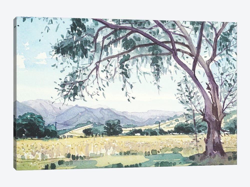 Malibu Creek From King Gillette Ranch by Luisa Millicent 1-piece Canvas Art