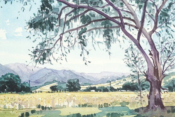 Luisa Millicent: Malibu Creek From King Gillette Ranch by Luisa Millicent