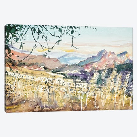 Malibu Creek - Dusk Canvas Print #LSM53} by Luisa Millicent Canvas Print