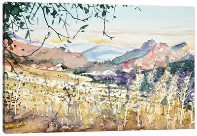 Malibu Creek - Dusk Canvas Art Print - Luisa Millicent
