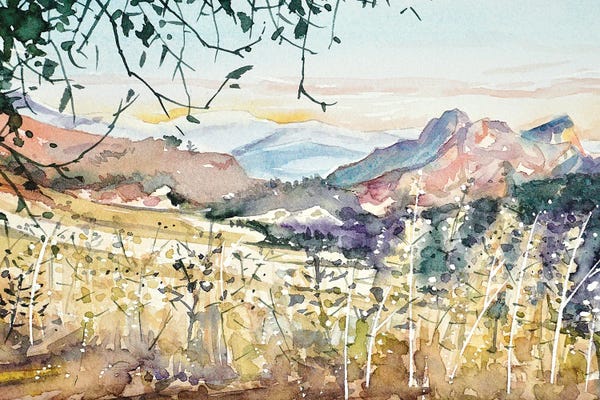 Los Angeles: Malibu Creek - Dusk by Luisa Millicent