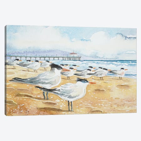 Terns - Manhattan Beach Canvas Print #LSM55} by Luisa Millicent Canvas Wall Art