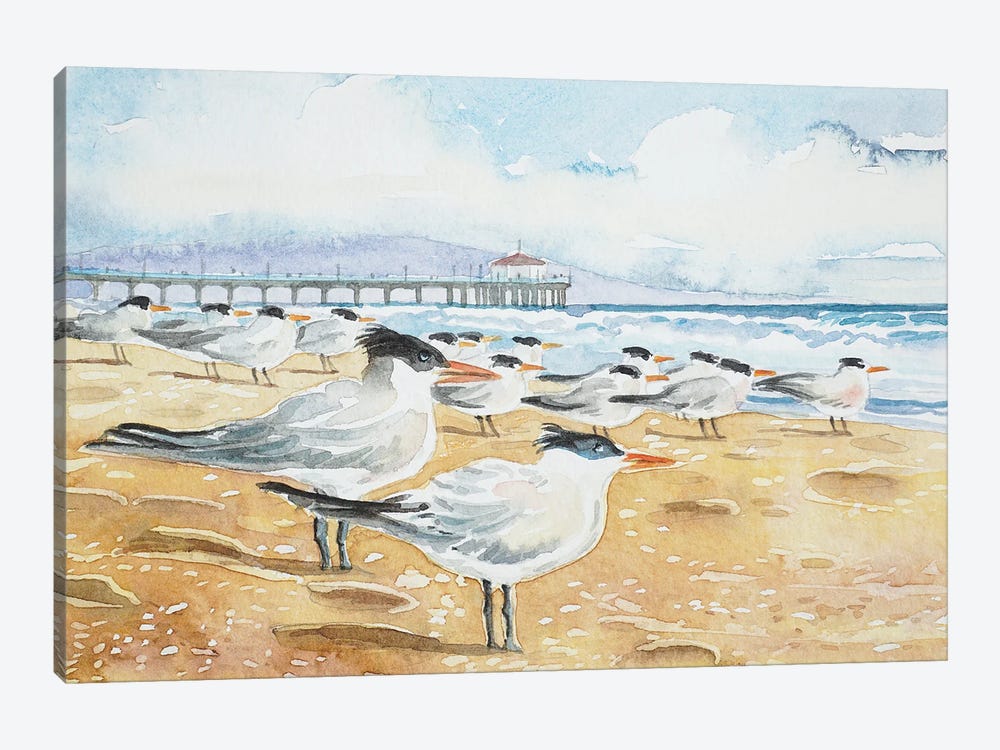 Terns - Manhattan Beach by Luisa Millicent 1-piece Canvas Print