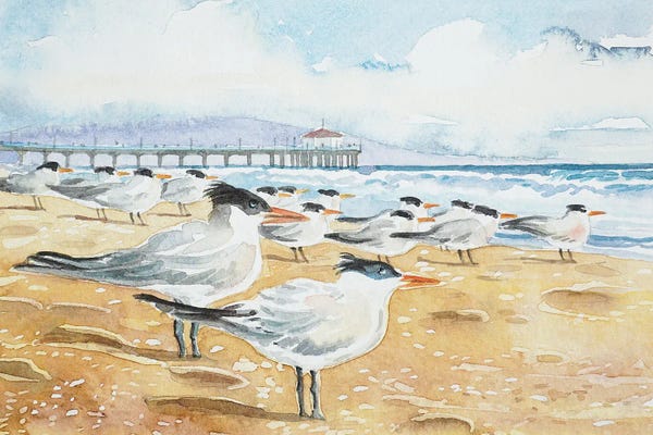 Luisa Millicent: Terns - Manhattan Beach by Luisa Millicent