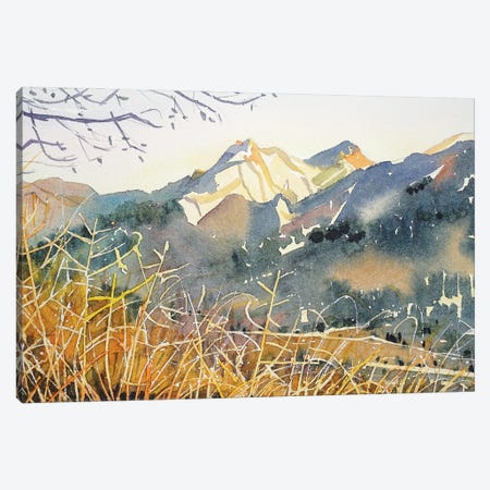 Golden Hour - Malibu Creek Canvas Print #LSM58} by Luisa Millicent Art Print