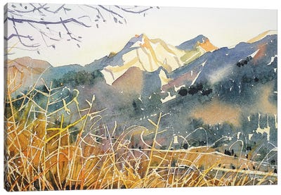 Golden Hour - Malibu Creek Canvas Art Print - Serene Watercolors