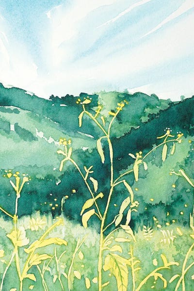 Mustard Seed Spring by Luisa Millicent canvas print