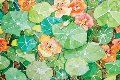 Kelly'S Nasturtiums by Luisa Millicent acrylic art print