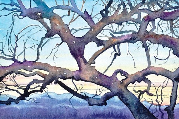 Luisa Millicent: Old Oak - Laguna Circle by Luisa Millicent