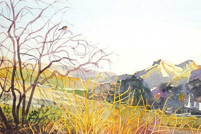 Reagan Ranch Meadow - Golden Hour by Luisa Millicent art print
