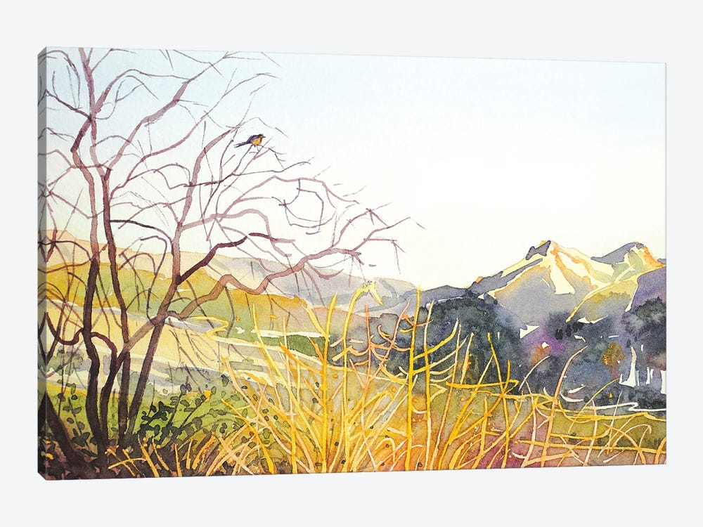 Reagan Ranch Meadow - Golden Hour by Luisa Millicent 1-piece Canvas Print