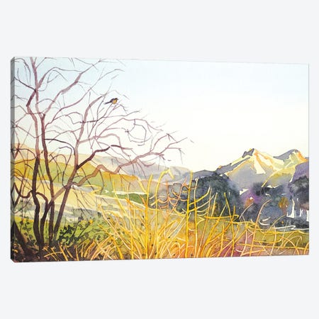 Reagan Ranch Meadow - Golden Hour Canvas Print #LSM66} by Luisa Millicent Canvas Print