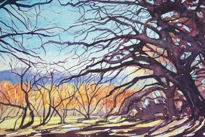 Old Oaks - Paramount Trail by Luisa Millicent art print