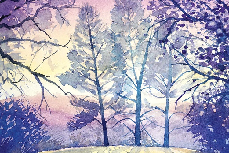 Three Pines On Skyline - Topanga