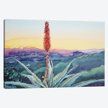 Red Hot Poker Sunset - Topanga Canvas Print #LSM71} by Luisa Millicent Canvas Print