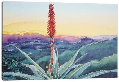 Red Hot Poker Sunset - Topanga Canvas Art Print - Luisa Millicent