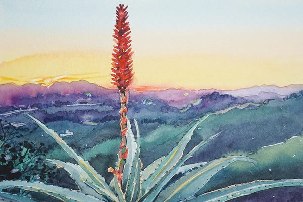 Luisa Millicent: Red Hot Poker Sunset - Topanga by Luisa Millicent